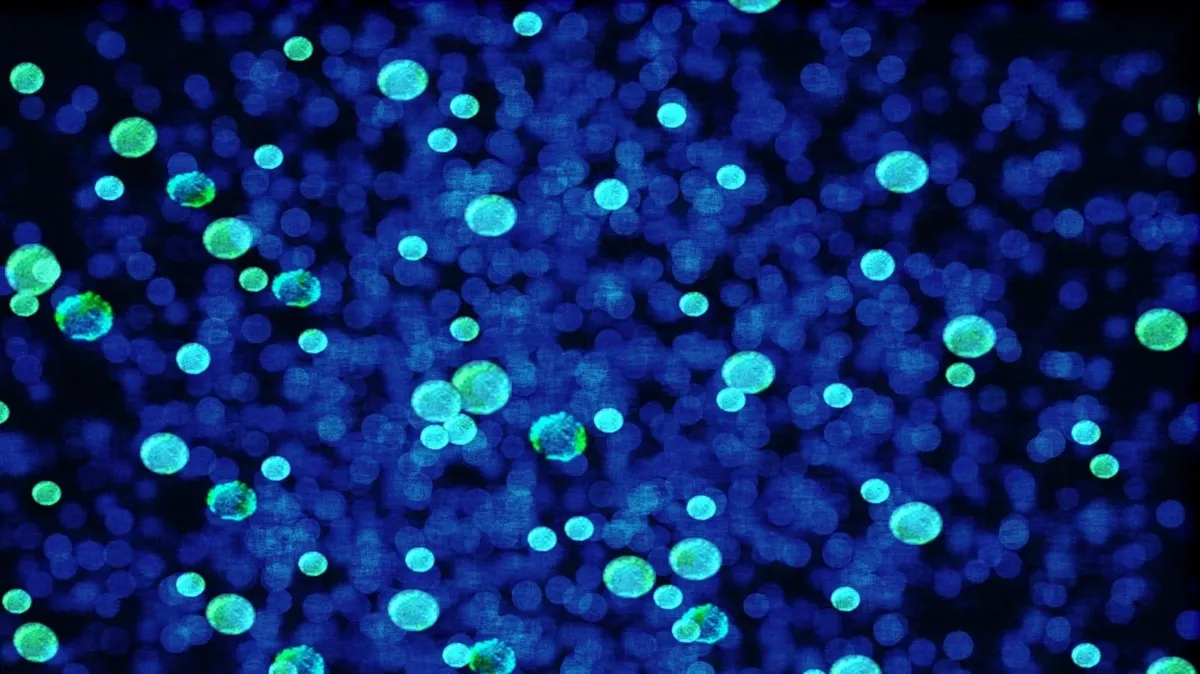 Antimikrobieller Drucklack – wie er wirkt und wo er sinnvoll ist