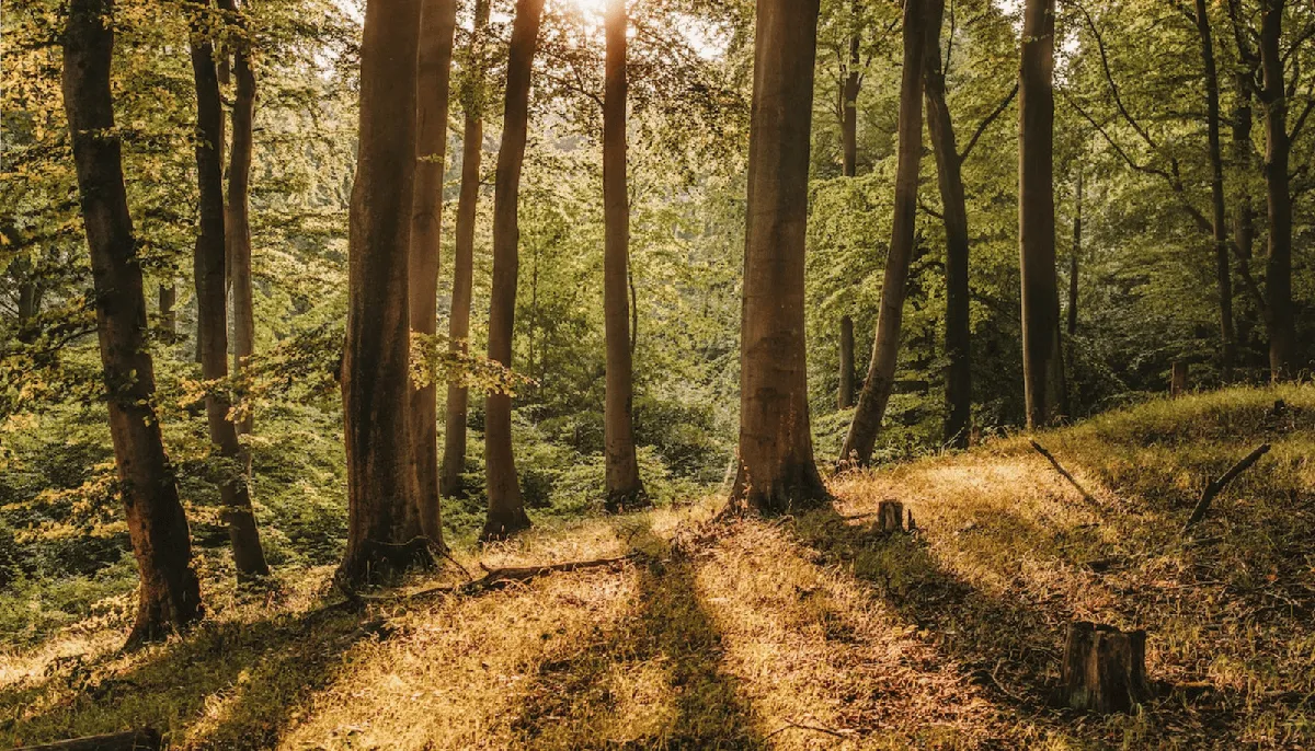 Haben digitale Mailings einen CO2-Abdruck?